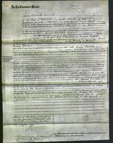 Court of Common Pleas - Caroline Carver-Original Ancestry