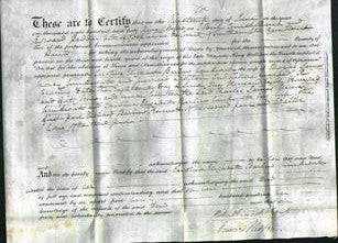 Court of Common Pleas - Caroline Elizabeth Barlow Hinkwirth-Original Ancestry