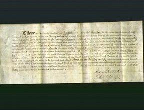 Court of Common Pleas - Louisa Turner-Original Ancestry