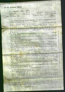 Court of Common Pleas - Jane Pendleson-Original Ancestry