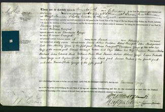 Deed by Married Women - Theodosia Yonge Crawford-Original Ancestry