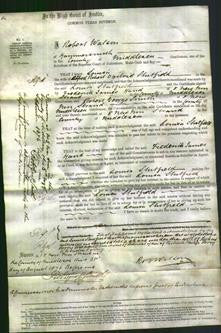 Court of Common Pleas - Louisa Stutfield-Original Ancestry