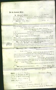 Court of Common Pleas - Mary Ann Noble-Original Ancestry