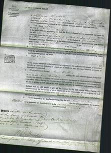 Court of Common Pleas - Ann Walter-Original Ancestry