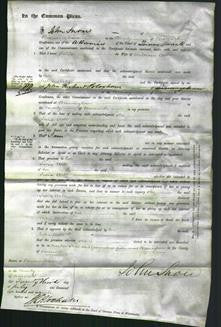 Court of Common Pleas - Julia Webb-Original Ancestry