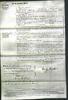 Court of Common Pleas - Mary Roberts-Original Ancestry