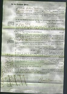 Court of Common Pleas - Anne Penny-Original Ancestry