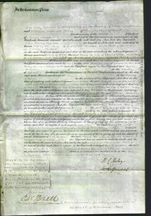 Court of Common Pleas - Mary Tucker and Mary Tucker-Original Ancestry