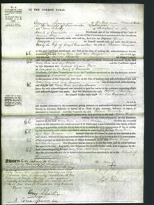 Court of Common Pleas - Mary Dean and Ann Janyon-Original Ancestry