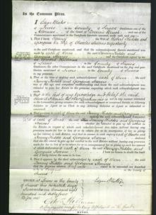 Court of Common Pleas - Fanny Kidder and Georgina Stames-Original Ancestry