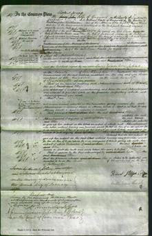 Court of Common Pleas - Ellen Jordan-Original Ancestry