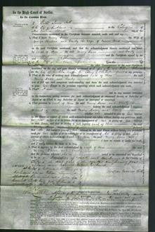 Court of Common Pleas - Mary Anne Hulme and Emily Ford-Original Ancestry