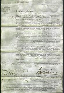 Court of Common Pleas - The Right Honorable Lady Henrietta Louisa Ogilvy-Original Ancestry