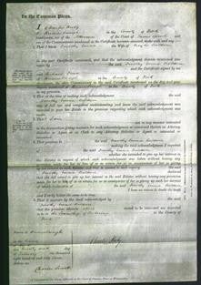 Court of Common Pleas - Dorothy Emma Baldwin-Original Ancestry