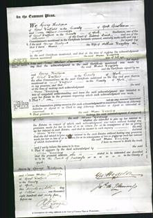 Court of Common Pleas - Maria Duggleby-Original Ancestry