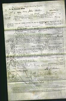 Court of Common Pleas - Mary Ann Timms-Original Ancestry