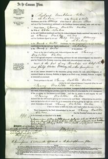 Court of Common Pleas - Fanny Matilda Waters-Original Ancestry