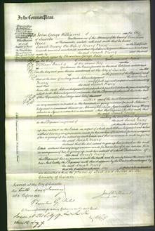 Court of Common Pleas - Sarah Drury-Original Ancestry