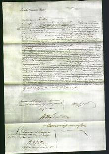 Court of Common Pleas - Dorothy Powell-Original Ancestry