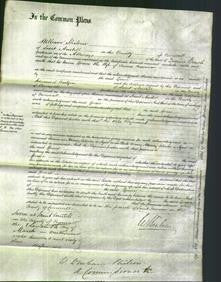 Court of Common Pleas - Grace Crossman-Original Ancestry
