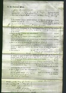 Court of Common Pleas - Sarah Peek Davey-Original Ancestry