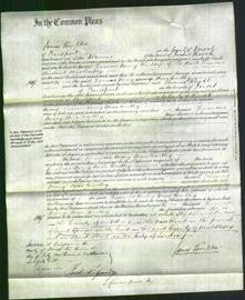 Court of Common Pleas - Frances Mary MacCarthy-Original Ancestry