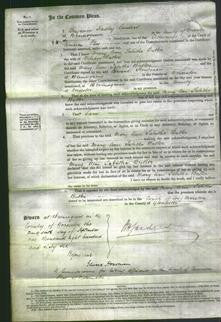 Court of Common Pleas - Mary Ann Tabitha Butler-Original Ancestry