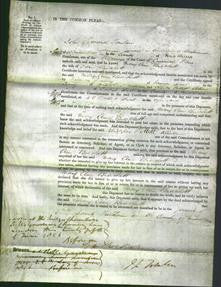 Court of Common Pleas - Mary Ann Brackett-Original Ancestry