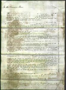 Court of Common Pleas - Elizabeth Dixon-Original Ancestry