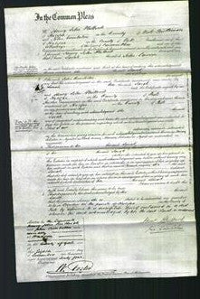 Court of Common Pleas - Sarah Lawson-Original Ancestry