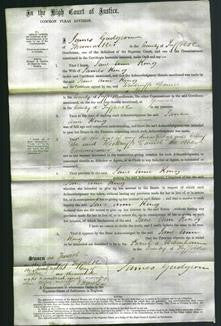 Court of Common Pleas - Jane Anne King-Original Ancestry