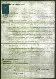 Court of Common Pleas - Jane Lacy-Original Ancestry