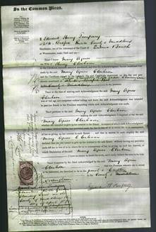 Court of Common Pleas - Mary Agnes Greggs Clarkson-Original Ancestry