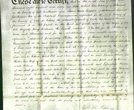 Deed by Married Women - Phillis Robson-Original Ancestry