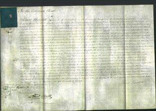 Court of Common Pleas - Susannah Sarah Ward-Original Ancestry