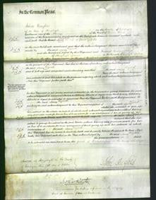 Court of Common Pleas - Elizabeth Griffiths-Original Ancestry