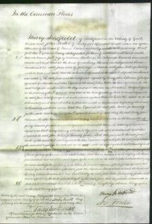 Court of Common Pleas - Jane Harker-Original Ancestry