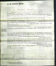 Court of Common Pleas - Mary Ann Vaughan-Original Ancestry