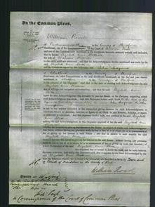 Court of Common Pleas - Elizabeth Ann Skottowe-Original Ancestry