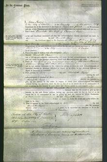 Court of Common Pleas - Charlotte Snow-Original Ancestry