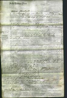Court of Common Pleas - Jane Ord-Original Ancestry
