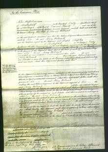 Court of Common Pleas - Mary Holland-Original Ancestry