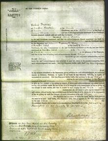 Court of Common Pleas - Eliza Diston-Original Ancestry