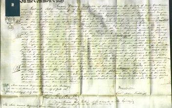 Court of Common Pleas - Phillis Robson-Original Ancestry