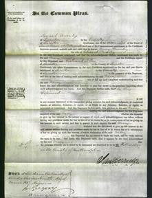 Court of Common Pleas - Mary Bromley-Original Ancestry