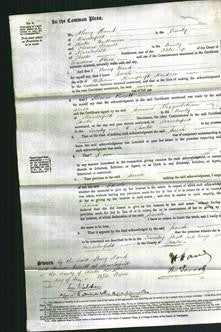 Court of Common Pleas - Sarah Hardern-Original Ancestry