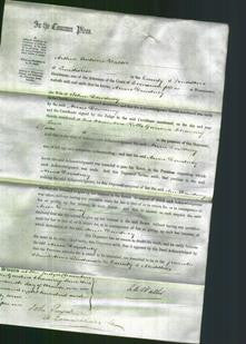 Court of Common Pleas - Anne Dewdney-Original Ancestry