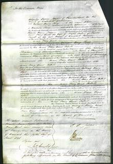 Court of Common Pleas - Mary Anne Cattell-Original Ancestry