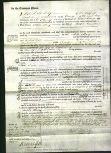 Court of Common Pleas - Adela Mary Ramsden-Original Ancestry