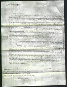 Court of Common Pleas - Ann Fendon-Original Ancestry